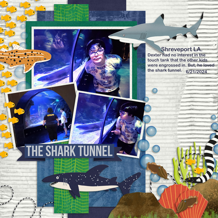 Ocean Aquarium Bundle from Clever Monkey Graphic's
