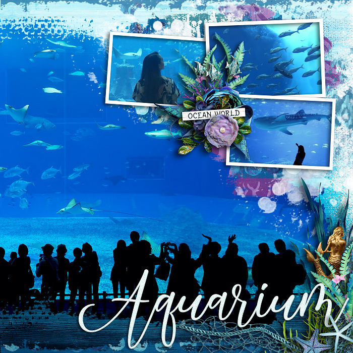 Ocean Aquarium