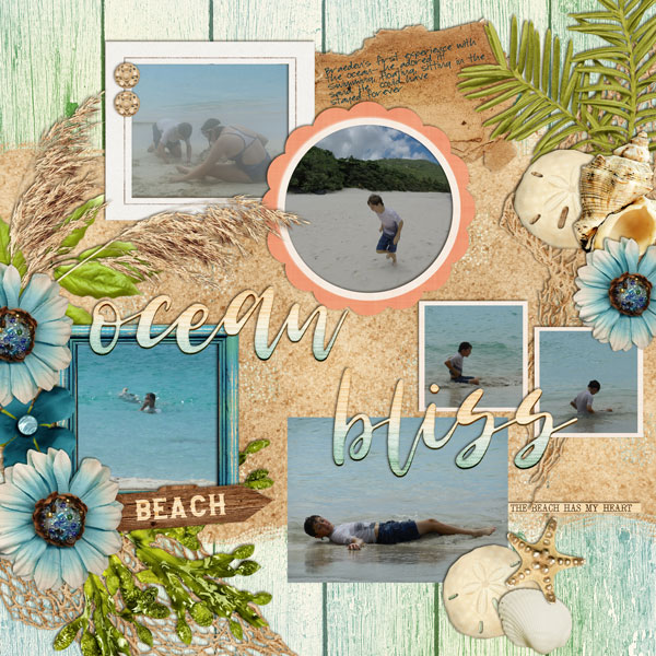 Ocean Bliss Scraplift