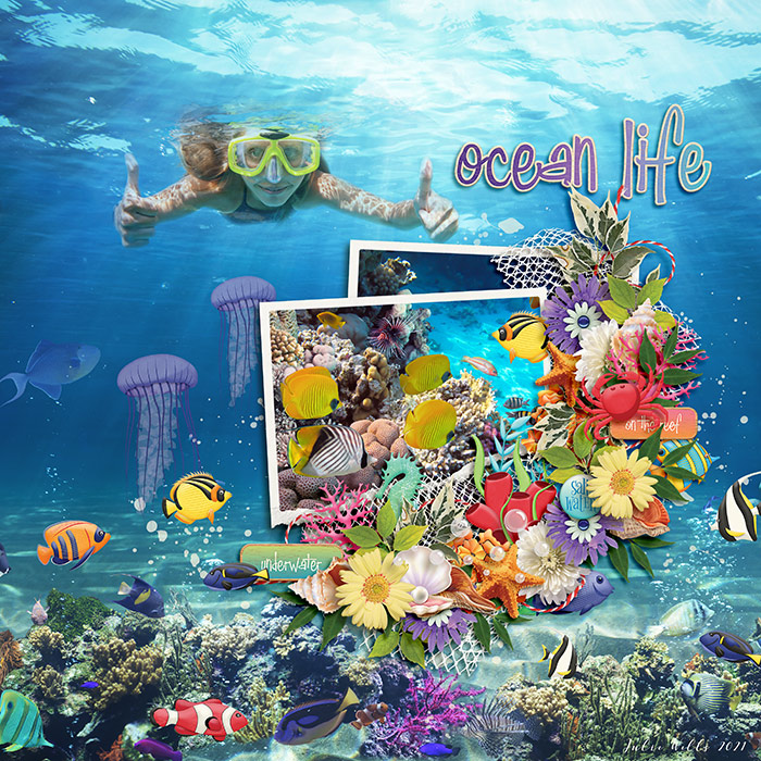 ocean life