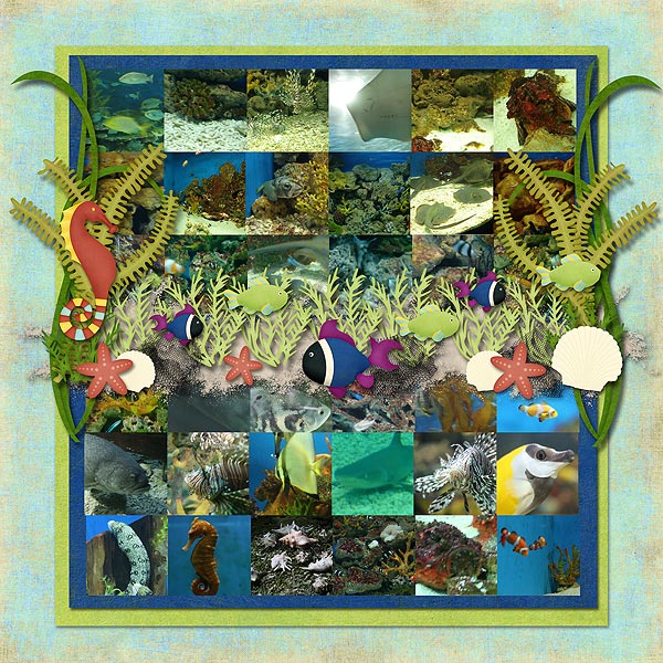 Ocean Park - Sea Creatures
