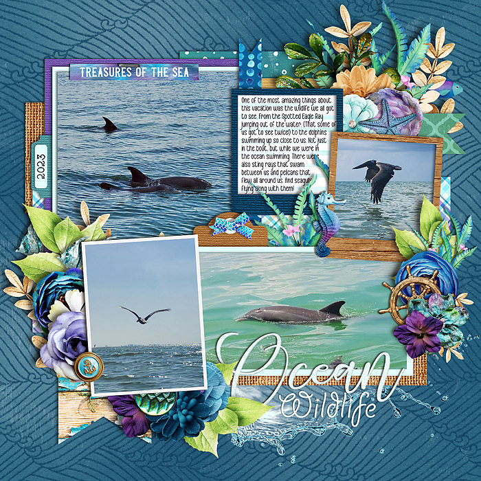 Ocean Wildlife