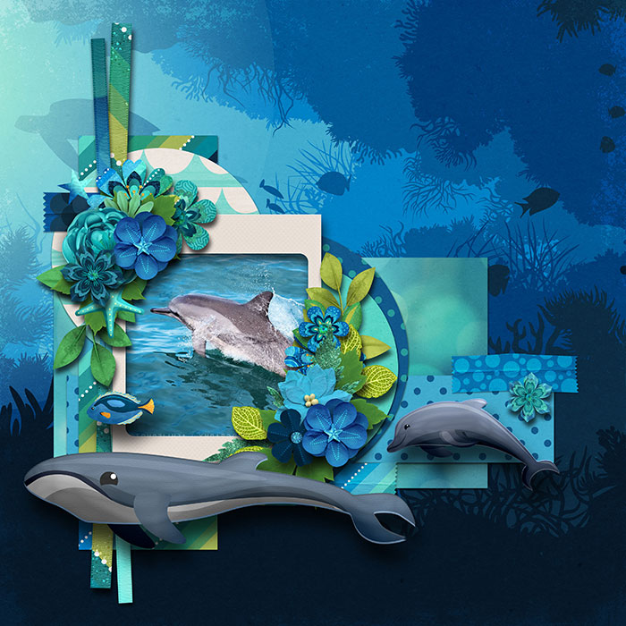 Ocean