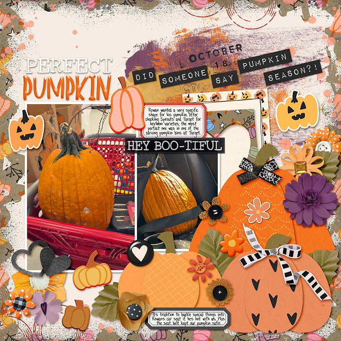 October 2025 - picking a pumpkin