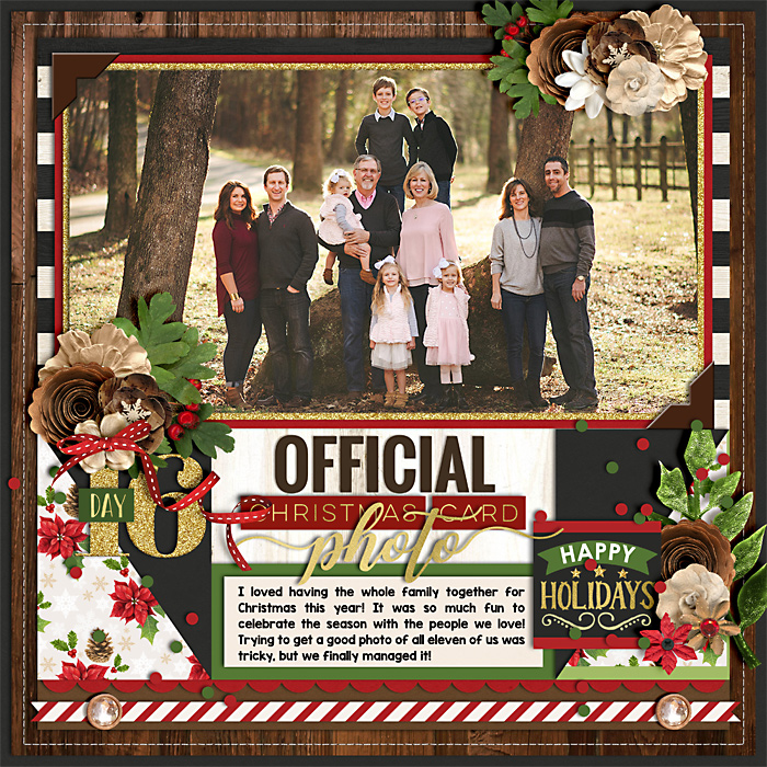 Official Christmas Card Photo