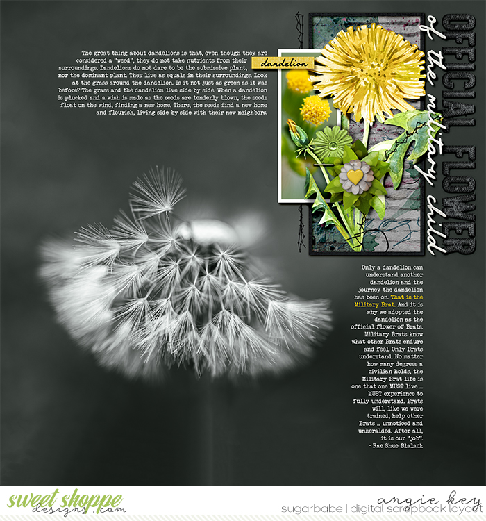 Official Flower of the Military Child