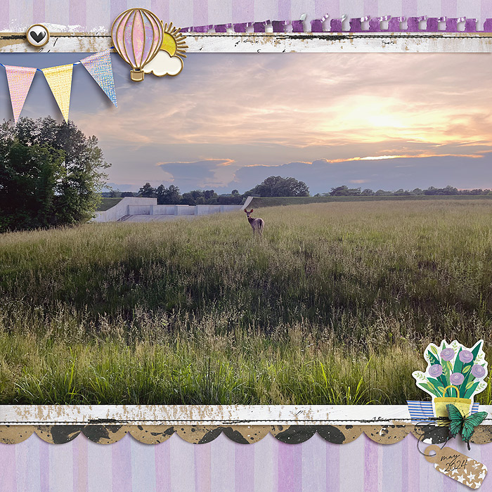 oh deer!