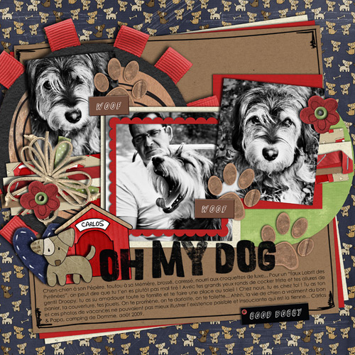 Oh My Dog !