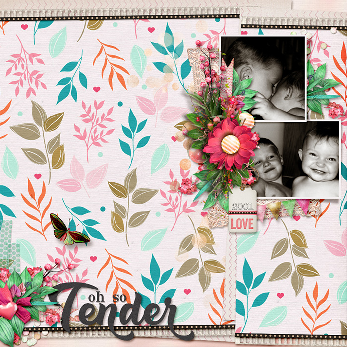 Oh So Tender