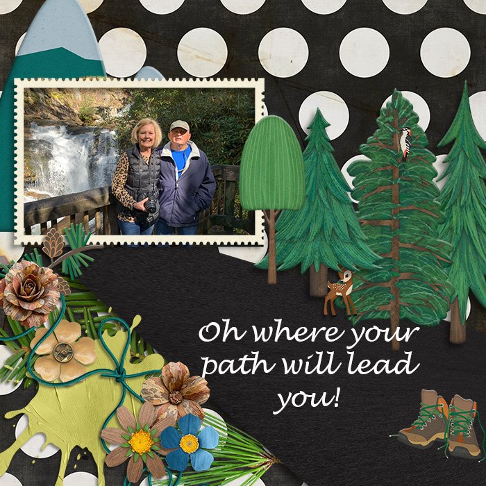 Oh-Where-Your-Path-Will-Go
