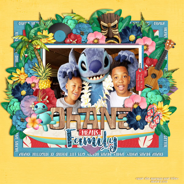 Ohana's- Your Vibe Attracts Your Tribe