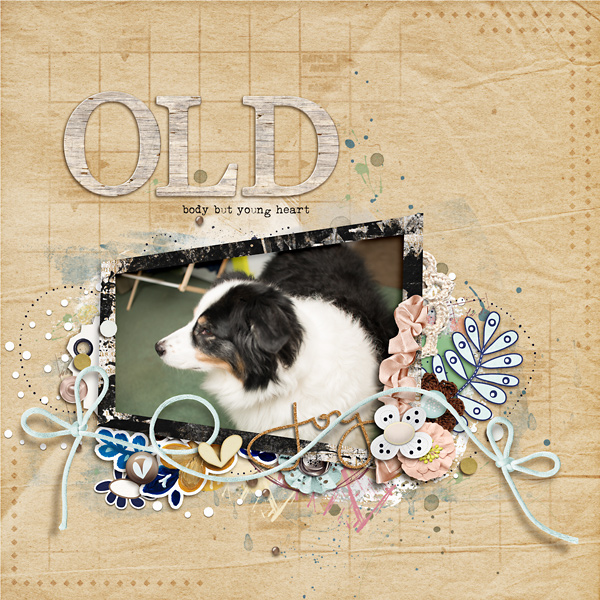 Old Body
