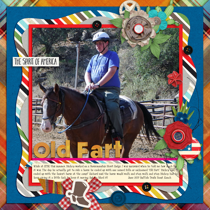 Old Fart BTSR June 2017