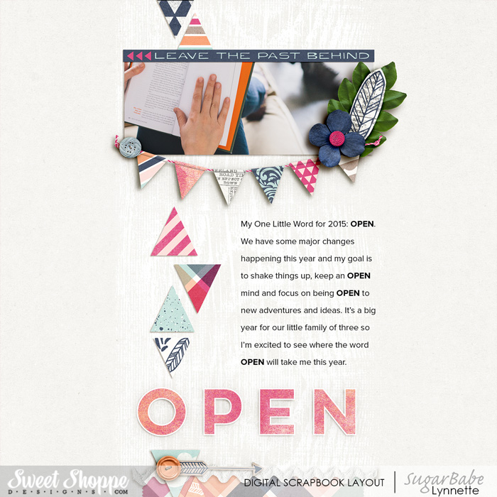OLW 2015: Open