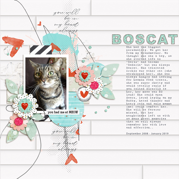 OLW: Boscat