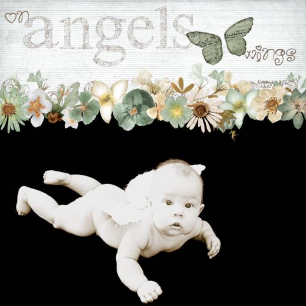 On Angels Wings