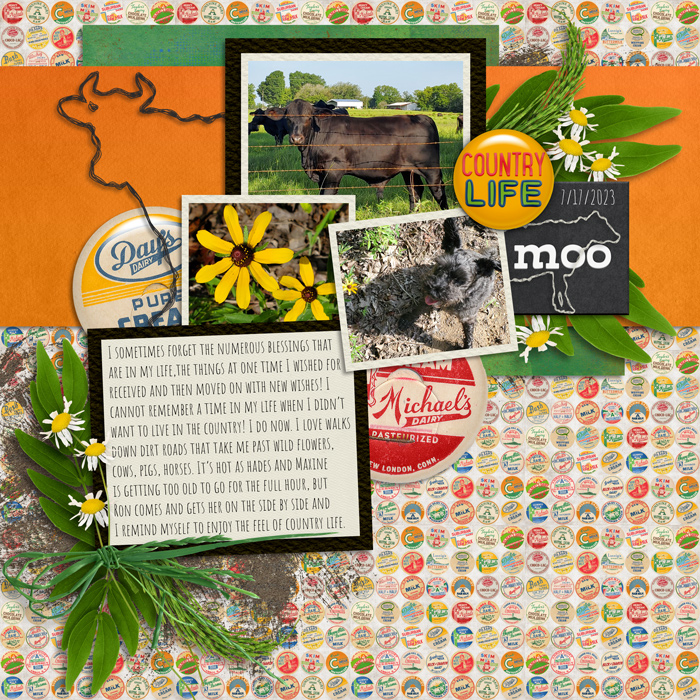On the Farm by Clever Monkey Graphics