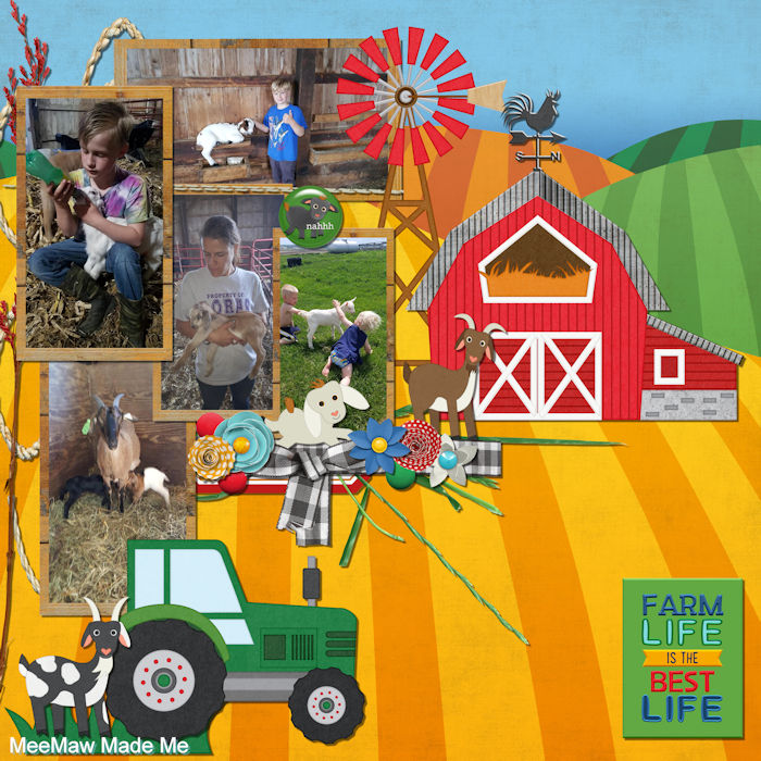 On The Farm