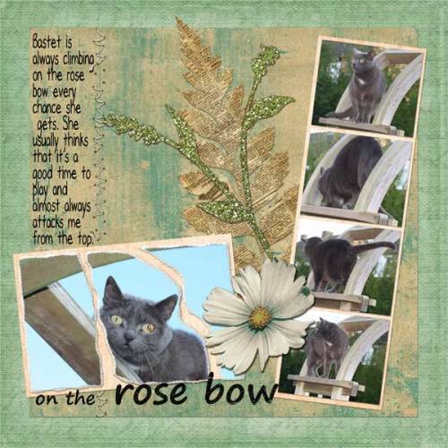 On the rose bow