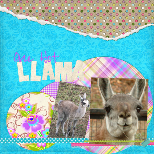One Hot Llama