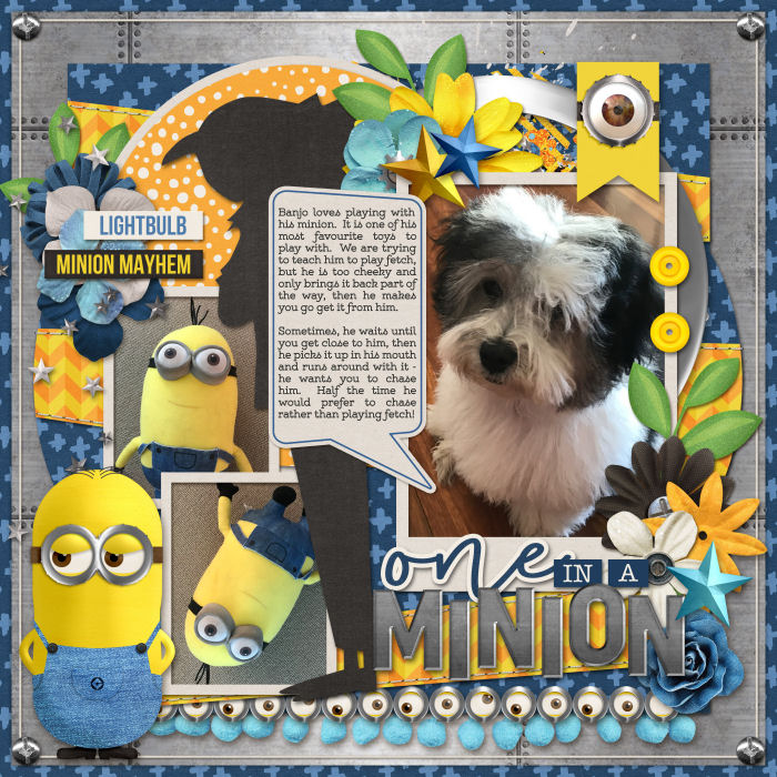 One in a Minion