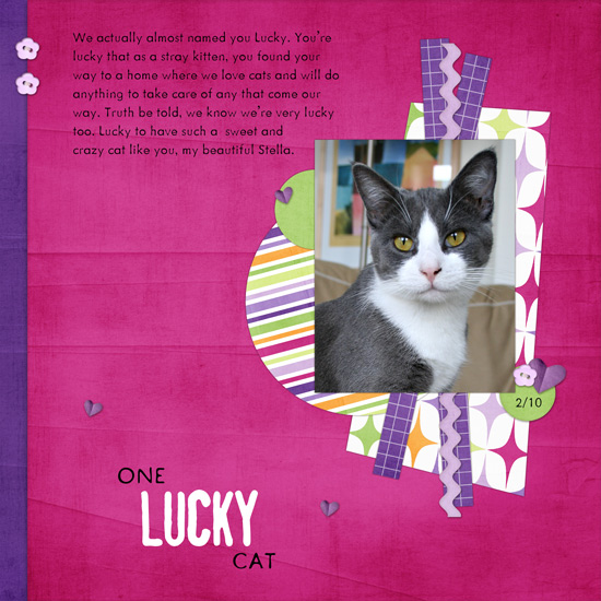 One Lucky Cat