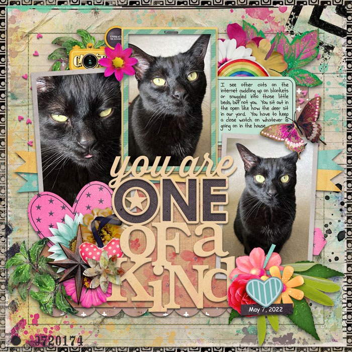 One of a Kind