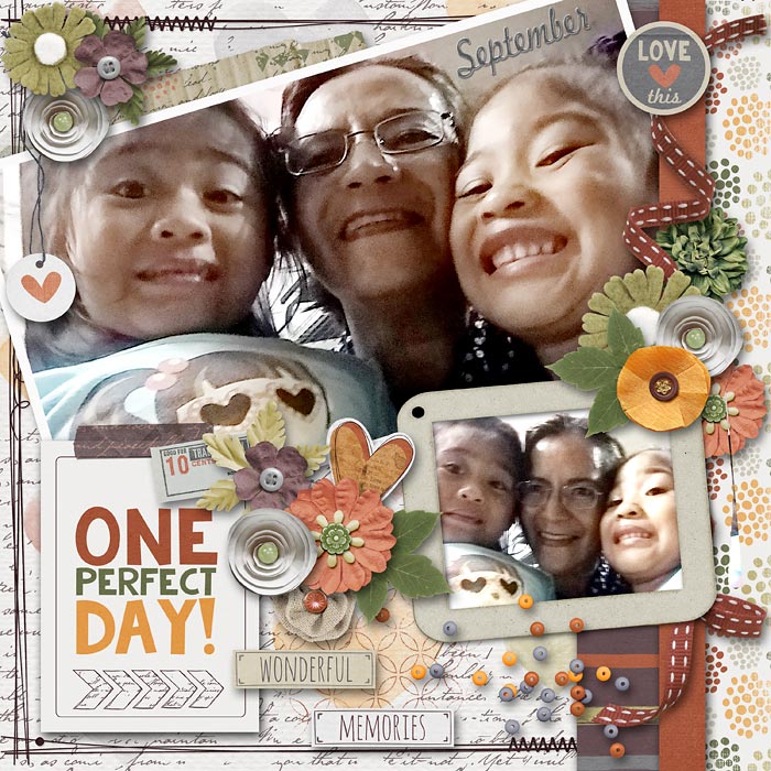 One Perfect Day