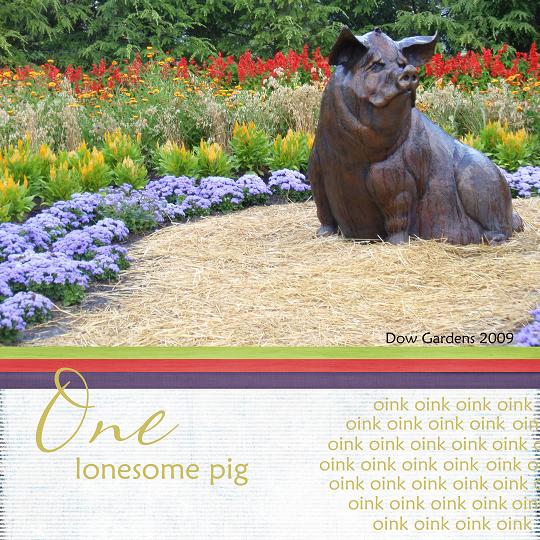 One Pig