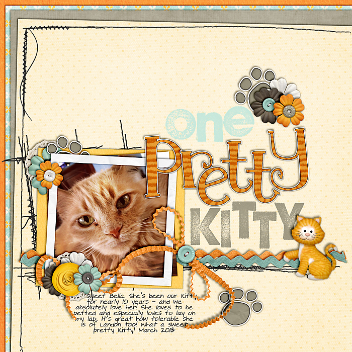 One Pretty Kitty