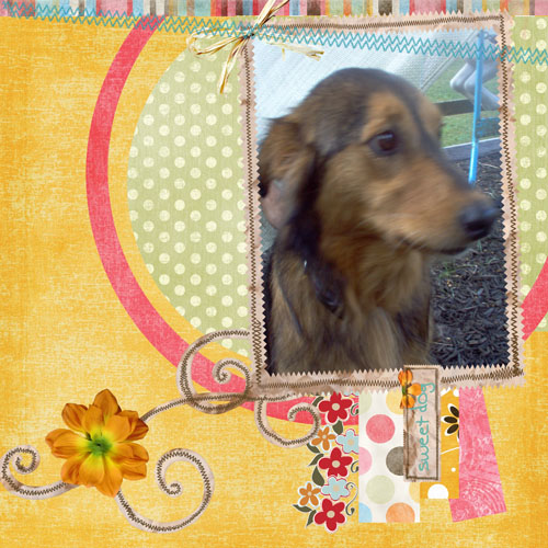 One Sweet Dog