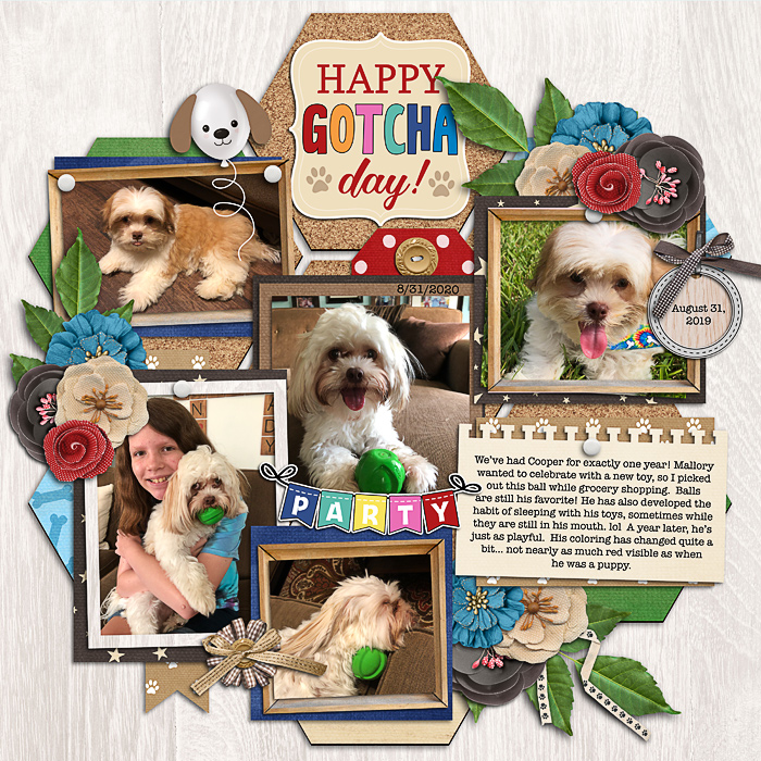 One year with Cooper