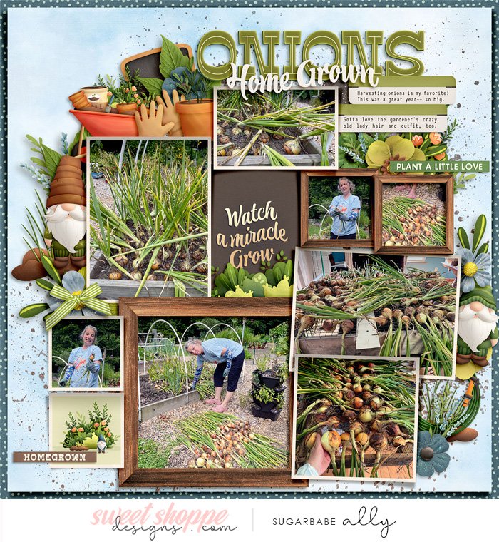 Onio Harvest 2025