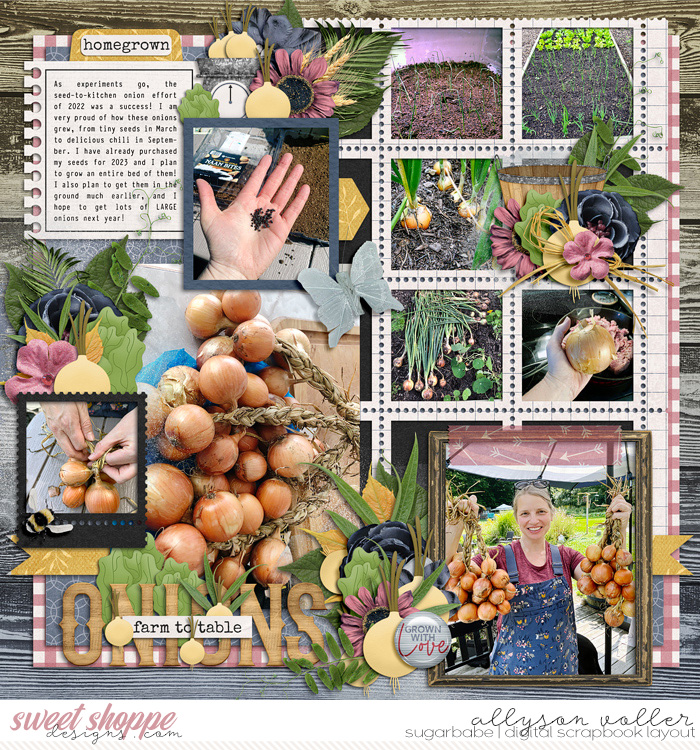 Onions Farm to Table