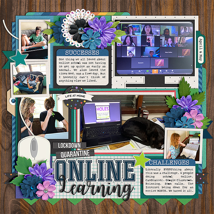 Online Learning