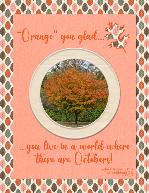 "Orange"-You-Glad