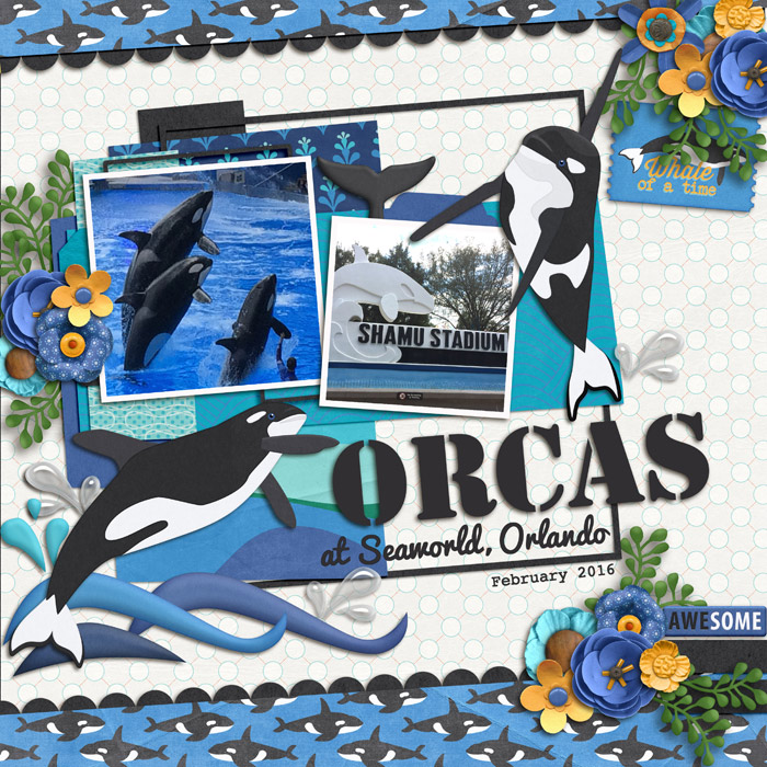 Orcas