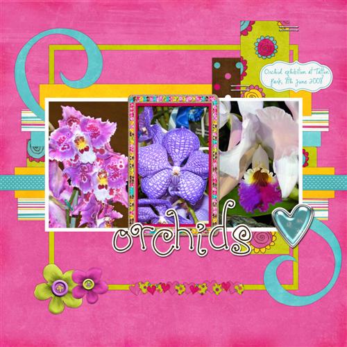 Orchids
