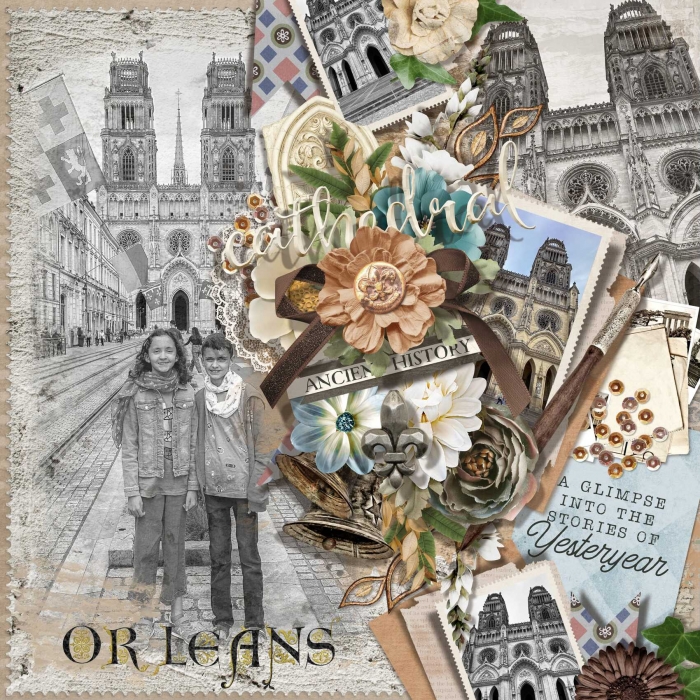 Orleans Cathedrale