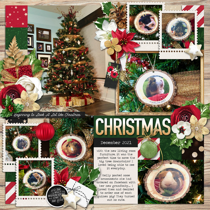 Ornaments 2021