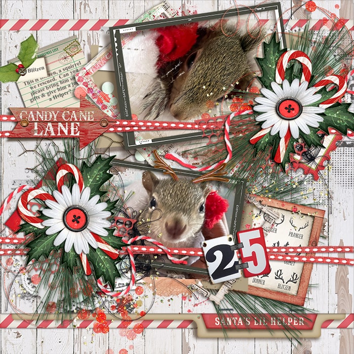 Our Blitzen