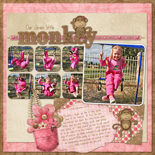Our Clever Little Monkey