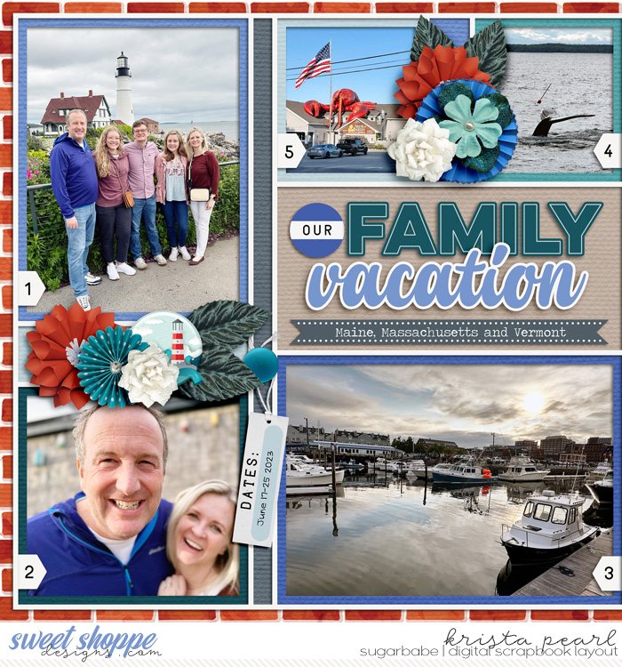 Our Family Vacation 1