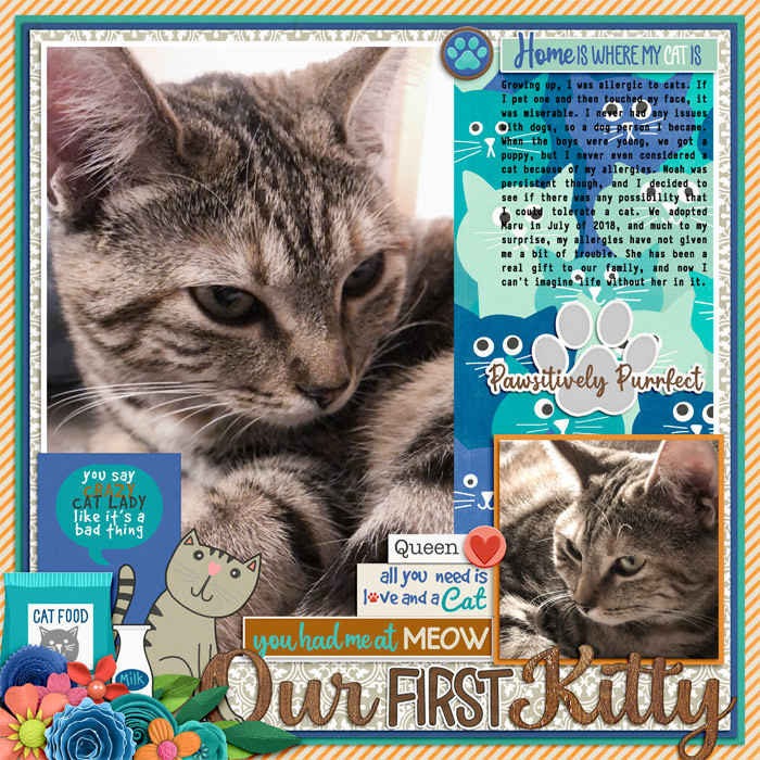 Our First Kitty
