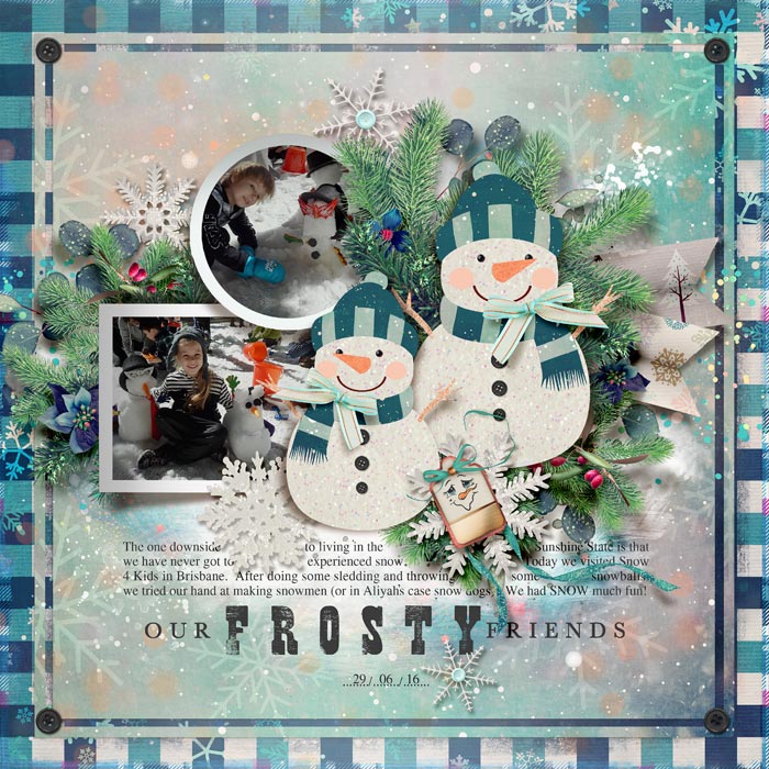 Our Frosty Friends