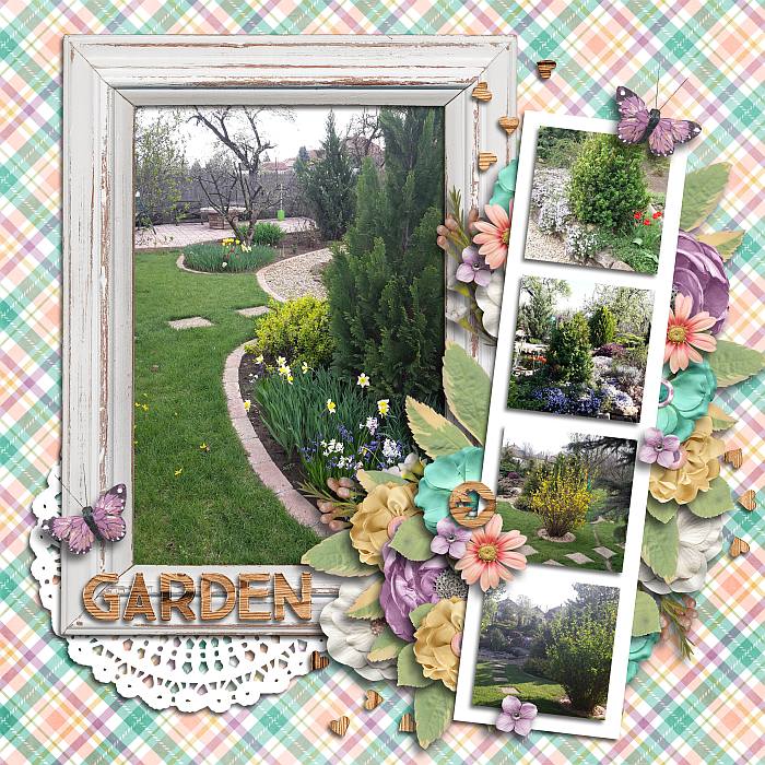 Our garden