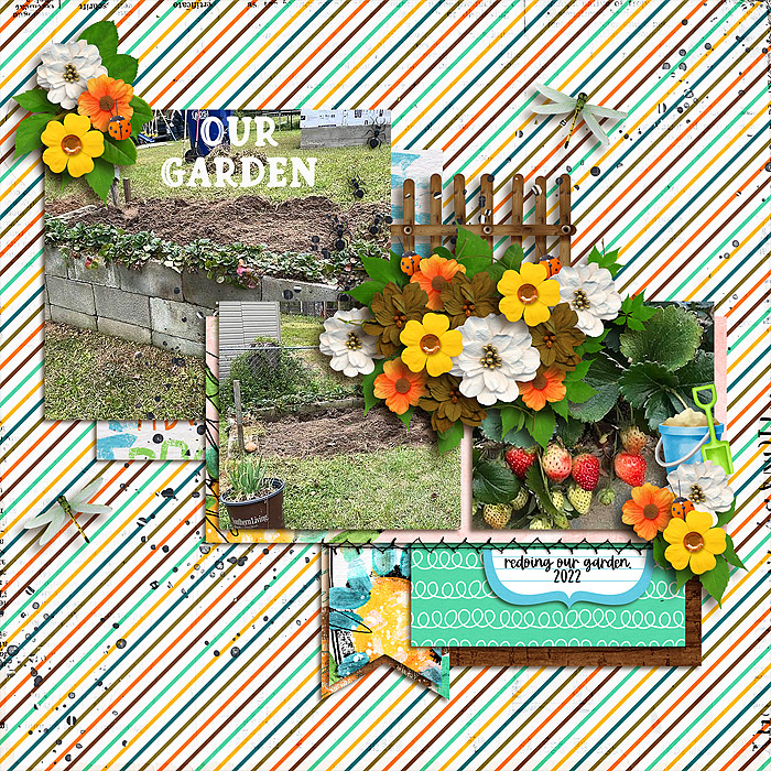 Our Garden