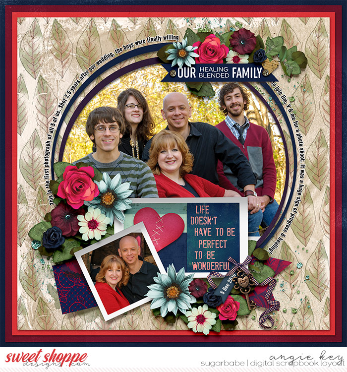 Our Healing Blended Family