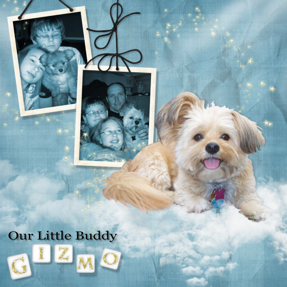 Our Little Buddy