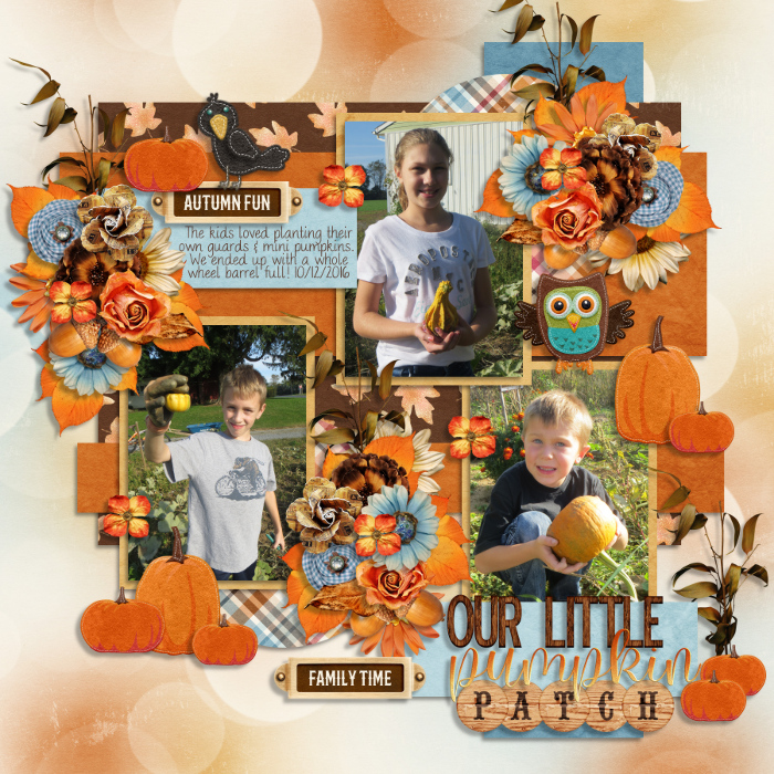 Our Little Pumpkin Patch